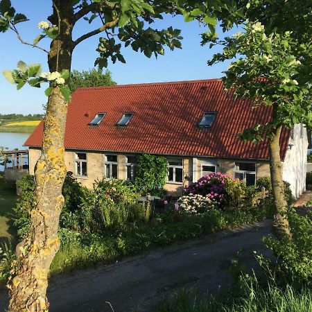 Bogebjerggard Bed & Breakfast Сённерборг Экстерьер фото