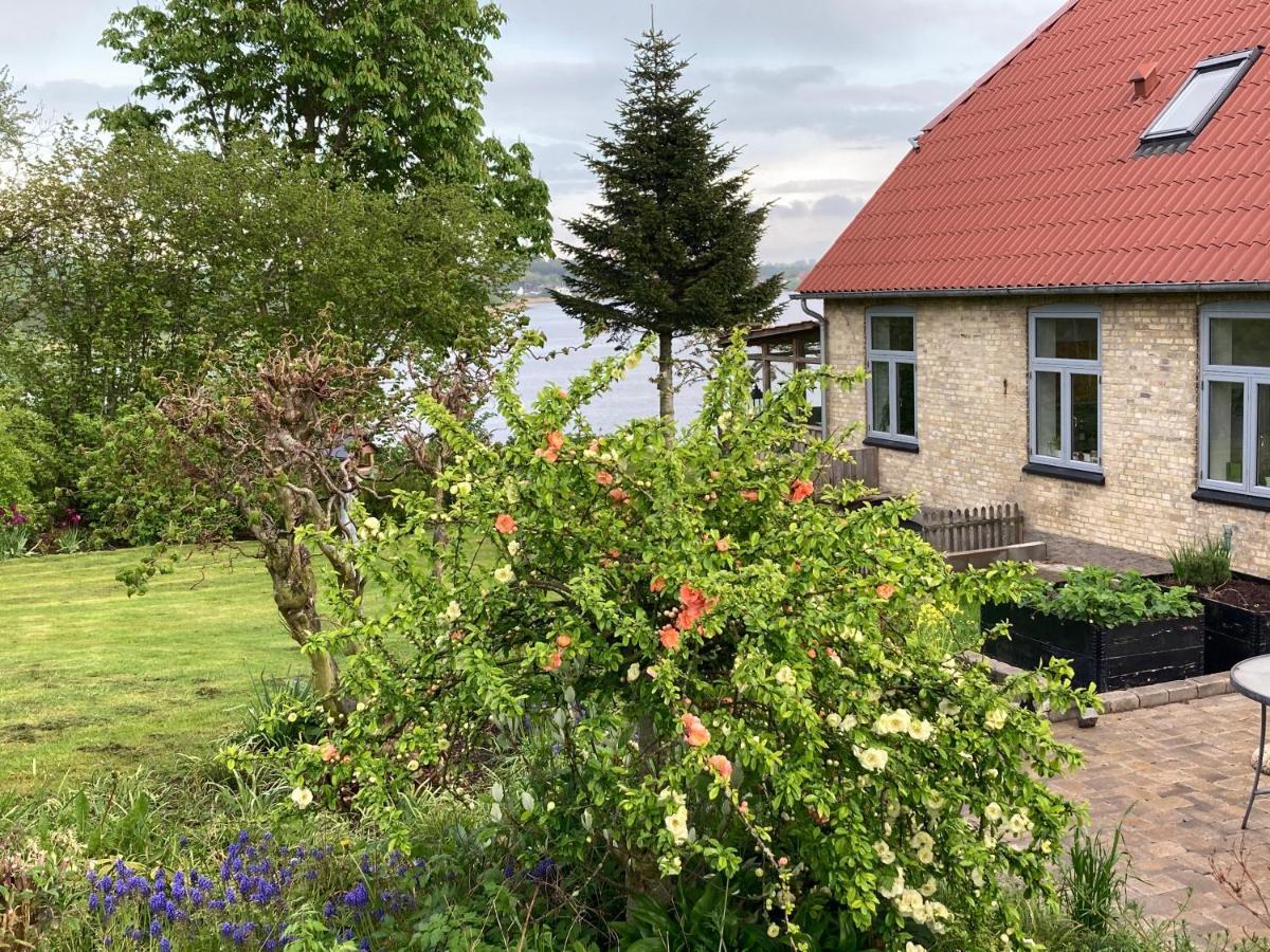 Bogebjerggard Bed & Breakfast Сённерборг Экстерьер фото